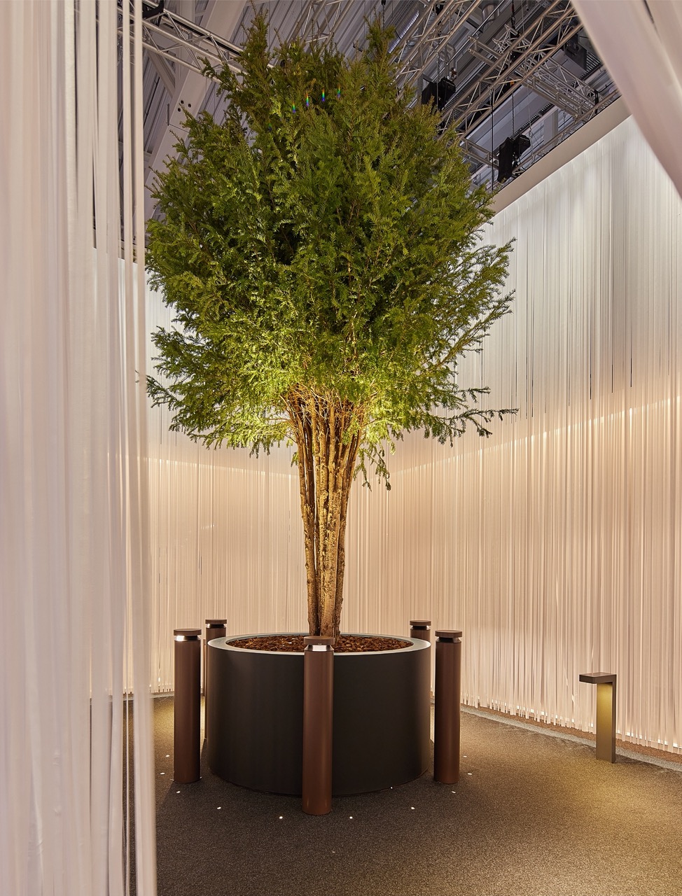 Capua 1880 – Testi Sito Web-10 Grande